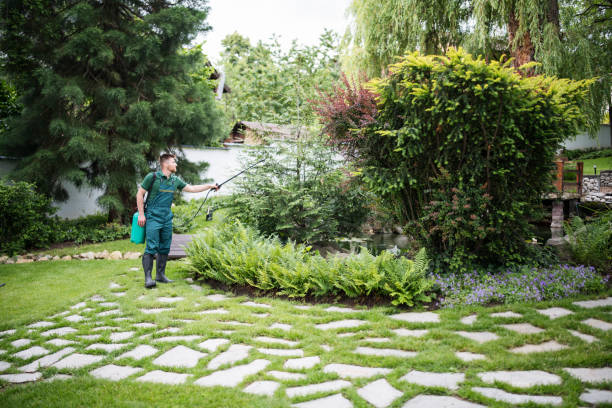 Trusted Wilkinsburg, PA Pest Control Experts