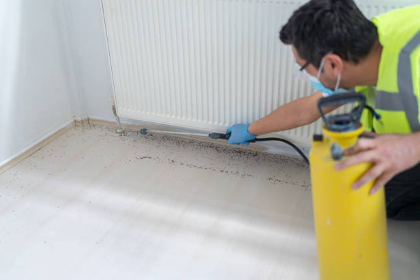 Best Wasp Removal Services  in Wilkinsburg, PA